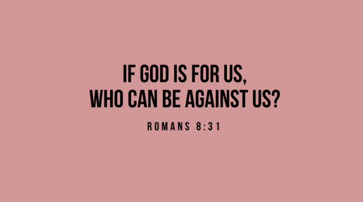 7b59a9d0169639682b2c2c45eab591e5