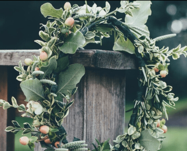 Screenshot 2022-11-21 at 8.38.31 AM 1